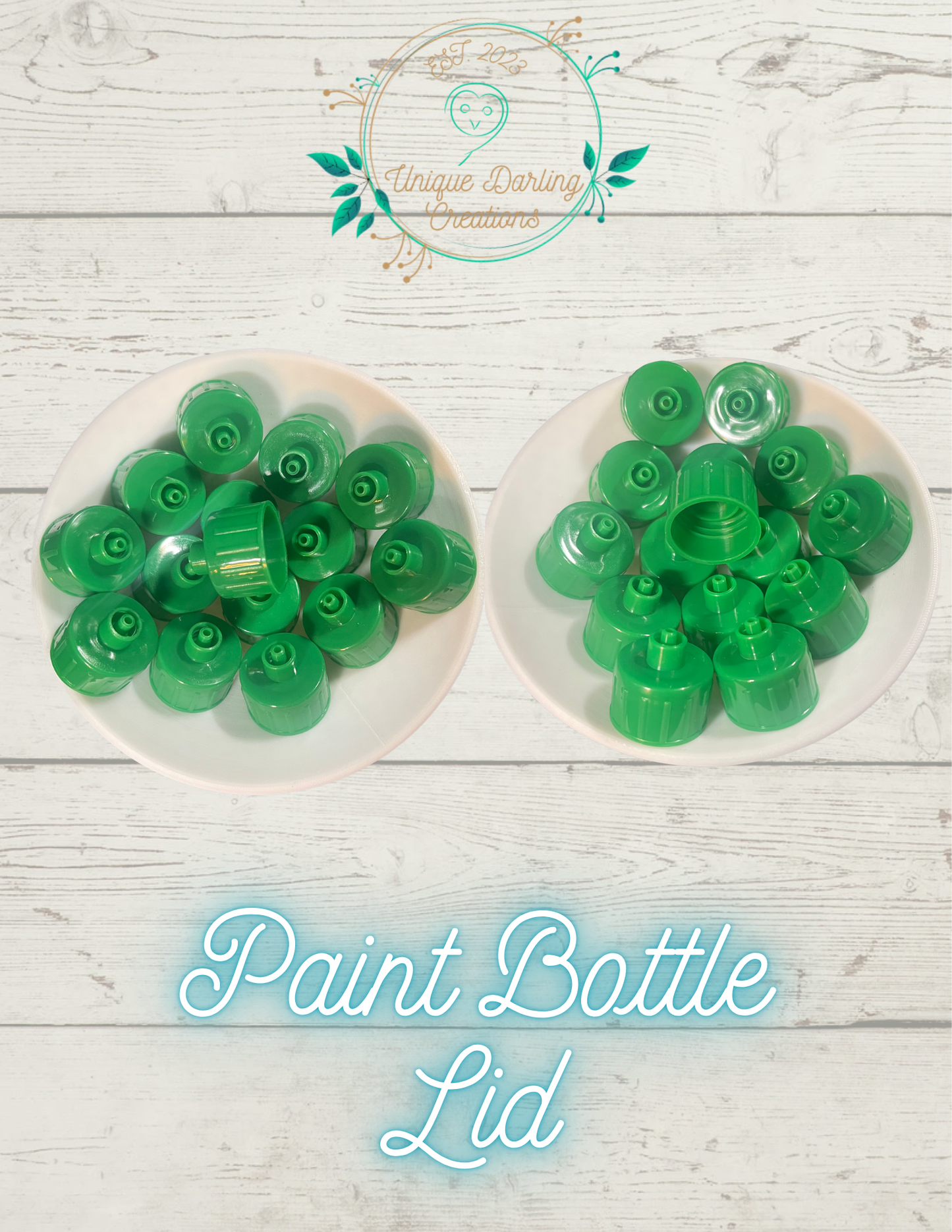 Paint Bottle Lid