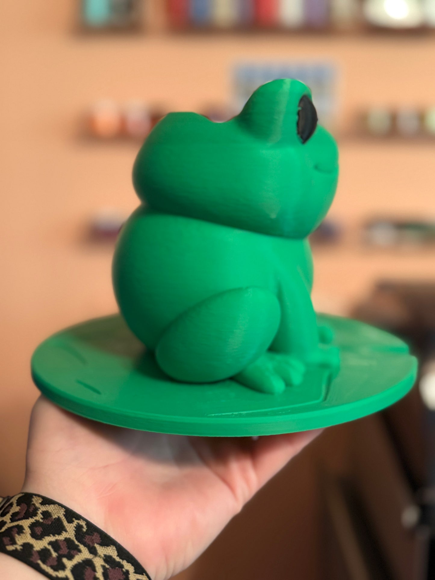 Frog Soap Holder