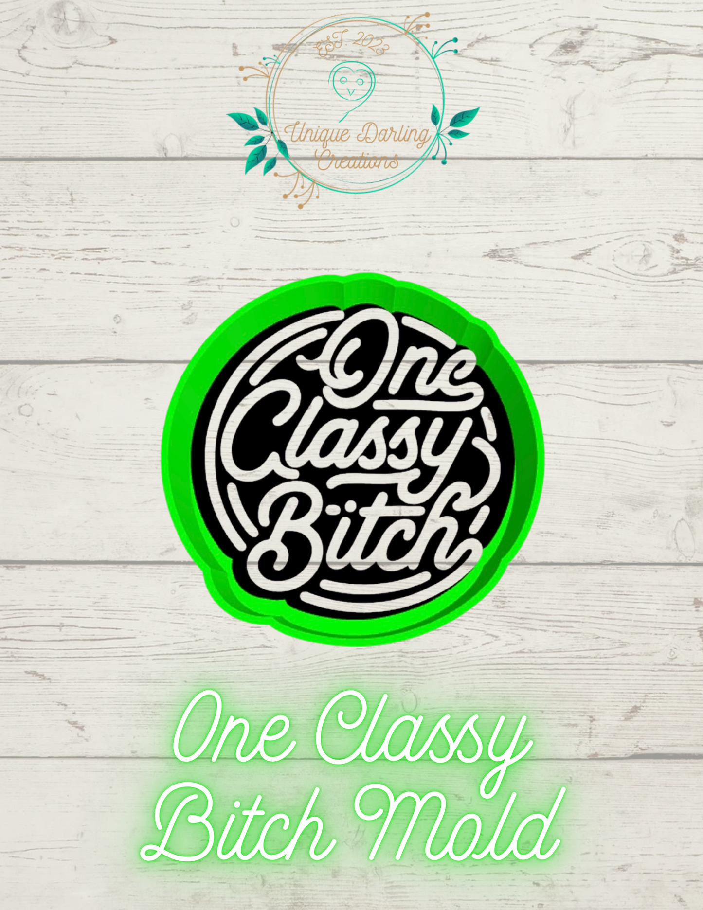 One Classy Bitch Mold